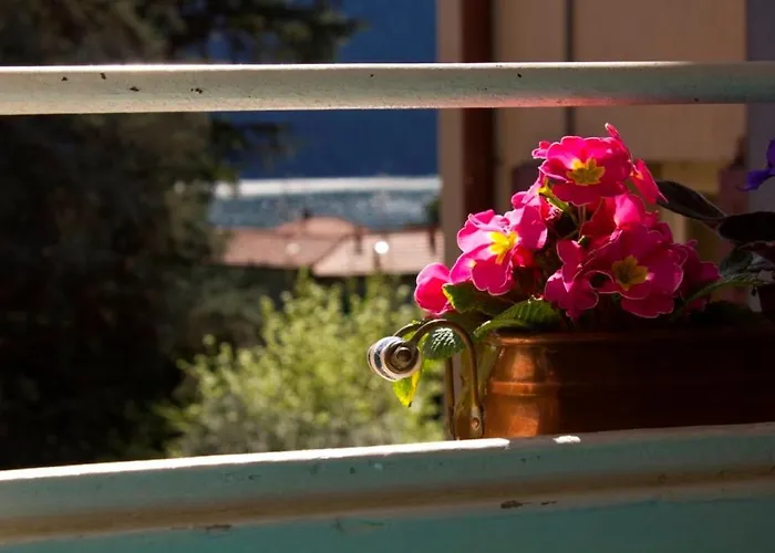Ristorante La Vignetta