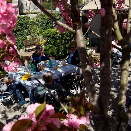 Ristorante La Vignetta 3* Черноббио