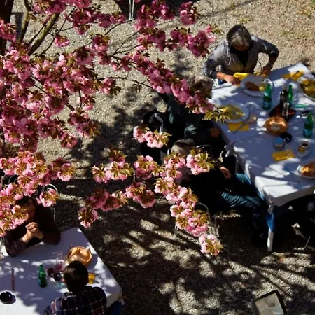 Ristorante La Vignetta Szálloda Cernobbio