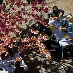 Ristorante La Vignetta Отель Черноббио